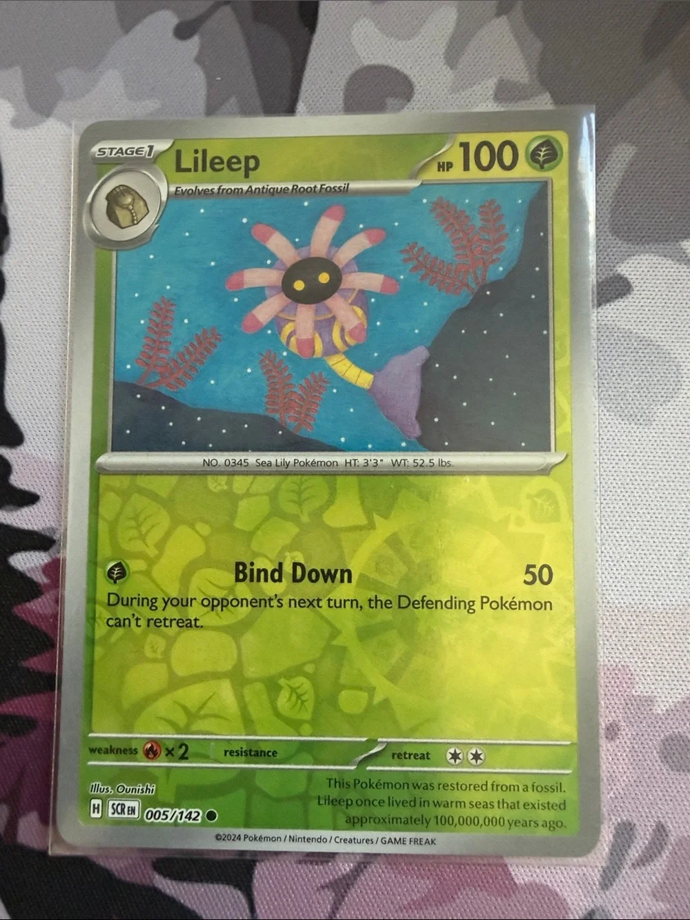 Lileep & Cradily Evolution Lot | Holo Reverse Holo Pokémon Cards ✨5/$25✨